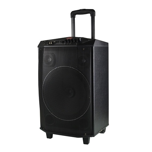 punta karaoke speaker price