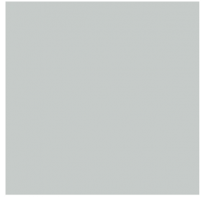 Asian Paints Apcolite Premium Gloss Enamel 7035 Light Grey 1ltr