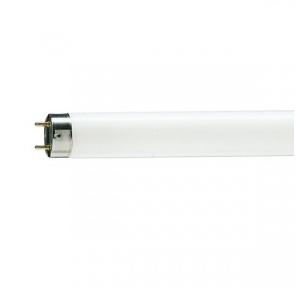 Philips Glass Tube Slimlite 36W 6500K 4 Feet