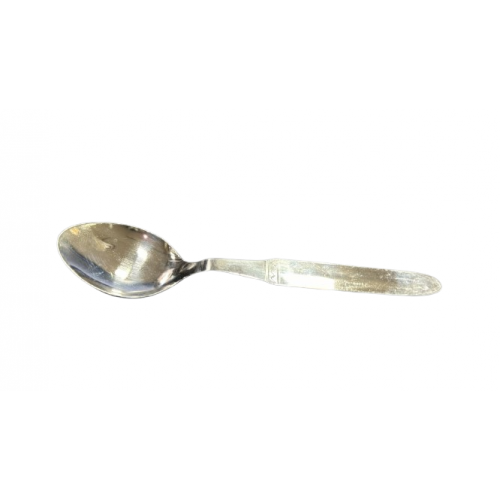 Pearl Spoon Stainless Steel 7 Inch 17 Gauge