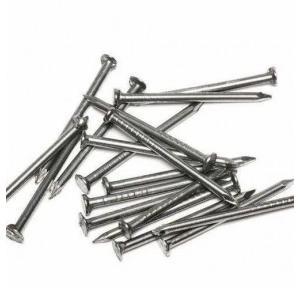 Iron Nails 1 Inch 500gm