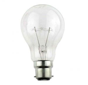 Surya Bulb 100 Watt With Holder