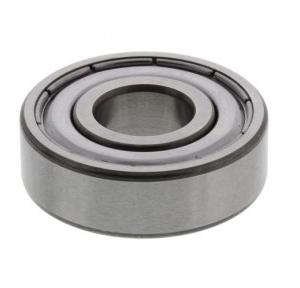 SKF Deep Groove Ball Bearing 6304-2Z