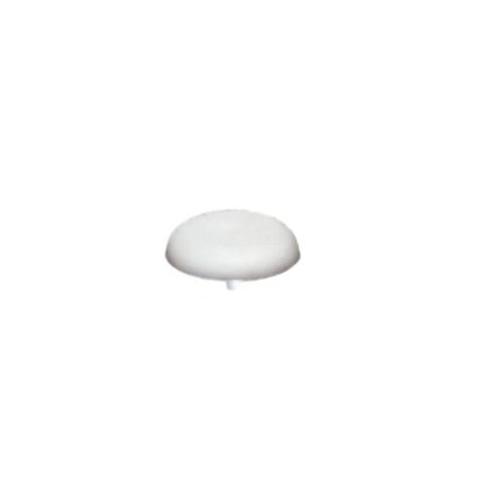 Ebco 20 mm Philips Head Screw Cap, PF-F Pack of 200 Pcs