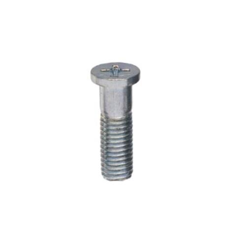 Ebco M10x35 mm Philips Head Screw, PF-E Pack of 100 Pcs