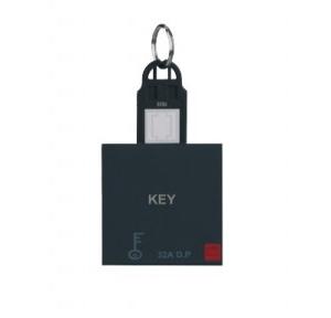 Anchor Roma Classic 32A DP Main Switch with Key Ring Tag, 21770MB