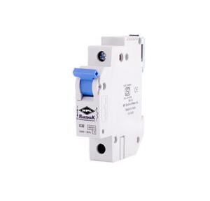 HPL 50-63A 1P D-Curve Miniature Circuit Breaker (MCB )