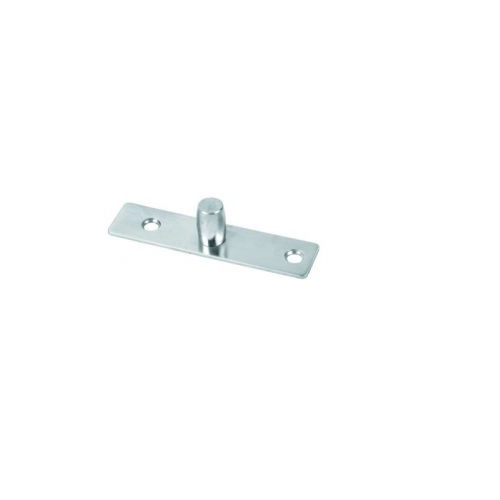 Godrej Stainless Steel Pivot Plate Patch Fitting 7771