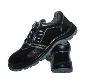 Allen Cooper AC-1267 Steel Toe Safety Shoes, Size: 6