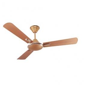 Havells 1200 mm Festiva Pearl Copper Gold High Speed Ceiling Fan