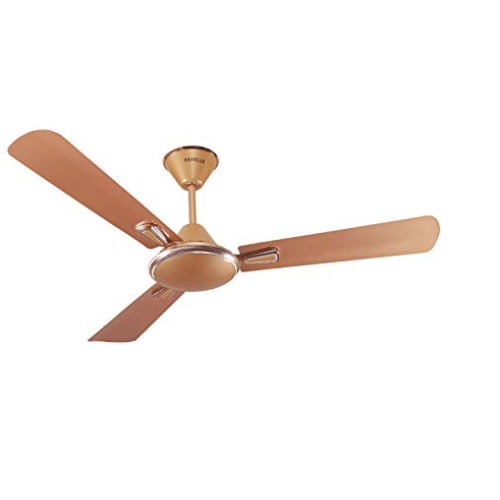 Havells 1200 mm Festiva Pearl Copper Gold High Speed Ceiling Fan