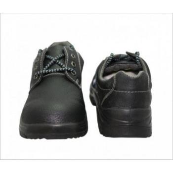 Allen Cooper AC-7001 Steel Toe Safety Shoes, Size: 6