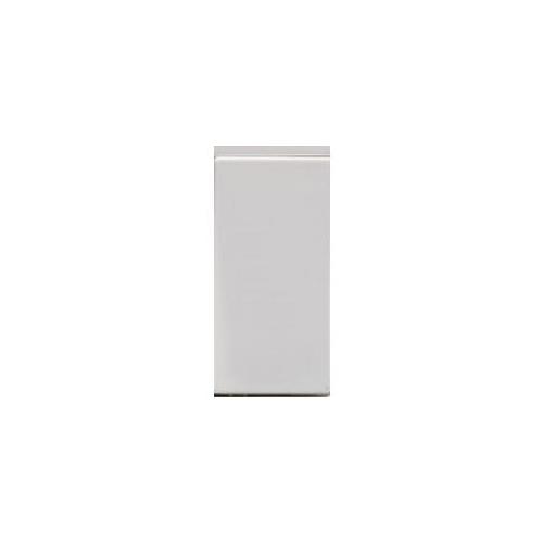 ABB Snieo White Blank Plate, CPW1BLNK