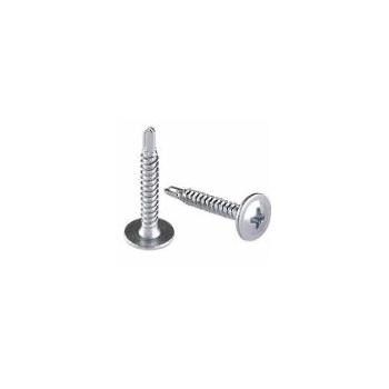 Self Drilling Screw SS 1 Inch, 1 Pcs