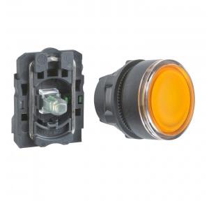 Schneider Illuminated Push Button LED 24V AC/DC XB5AW35B1N