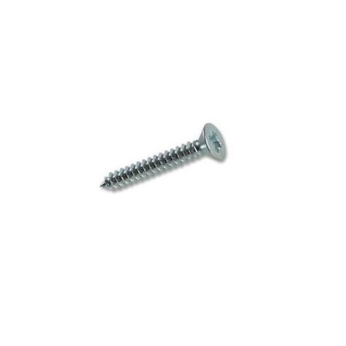 SS Screw 19x6, Pack of 100 Pcs