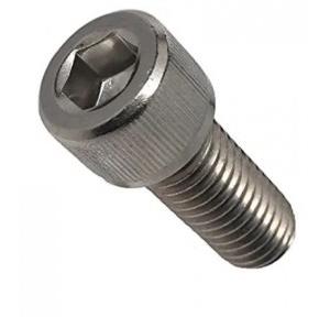 Cap Screw SS, 1 Inch (Pack of 100 Pcs)