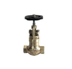 Sant Bronze Controllable Feed Check Valve Renewable Seat 32 mm, IBR 9A