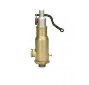 Sant Bronze Safety Valve Integral 50 mm, IBR 6