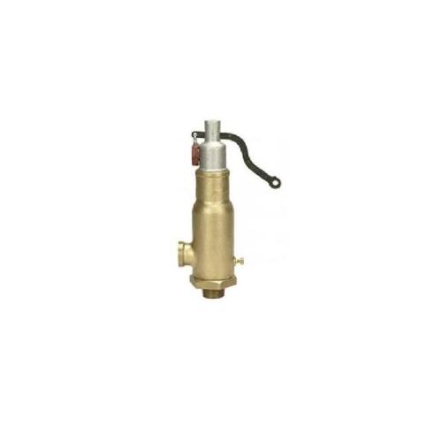 Sant Bronze Safety Valve Integral 50 mm, IBR 6