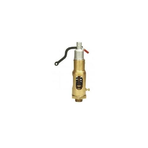 Sant Bronze Safety Valve Integral 50 mm, IBR 5