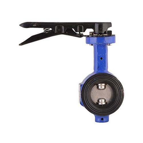 Lehry Butterfly Valve Cast Iron 1550 mm