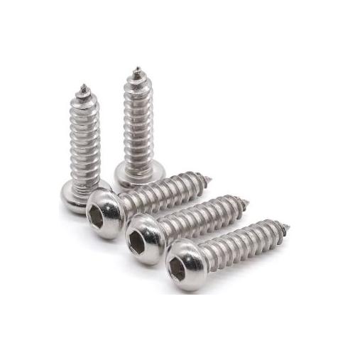 Self Thread SS Star Screw 65X10 Inch