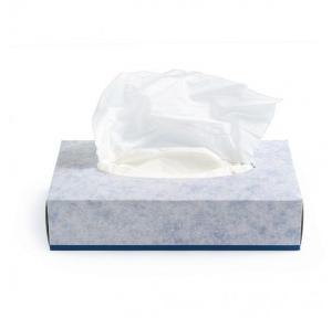 Premium Face Tissues 2 Ply 100 Pulls 20x20cm