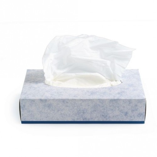 Premium Face Tissues 2 Ply 100 Pulls 20x20cm