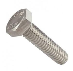 Cap Screw SS, 3/4 Inch