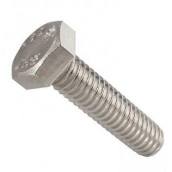 Cap Screw SS, 3/4 Inch