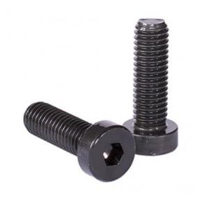 Cap screw MS 3/4 inch