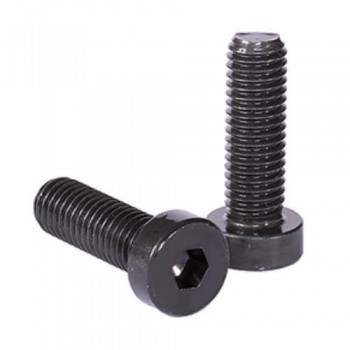 Cap screw MS 3/4 inch