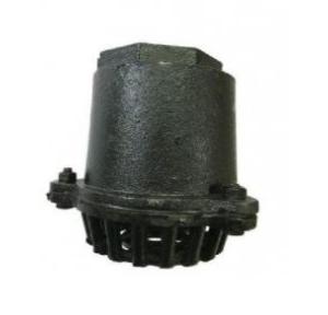 Kirloskar Cast Iron Foot Valve, Size 100mm