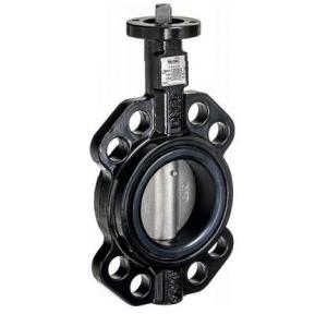 Belimo 2 Way Butterfly Valve With Wafer Type, DN65