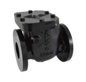 Zoloto Cast Iron Non- Return Valve PN 1.6 (Flanged), 65mm