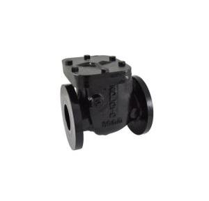 Zoloto Cast Iron Non- Return Valve PN 1.6 With Bypass Arrangement (Flanged), 50mm