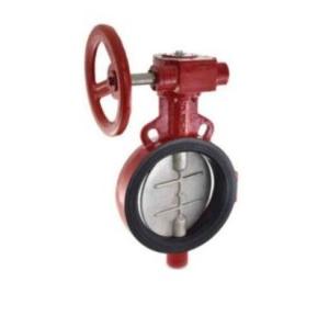 Zoloto Butterfly Valve (Wafer Type), PN-1.6 with Electrical Actuator, 65mm