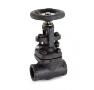 Zoloto Forged Steel Globe Valve, Class-800 (Standard Bore), Size : 15 mm