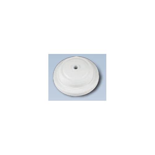 Anchor Penta White 6A Jumbo 2 Plate Ceiling Rose 240V 50Hz, 39028DB